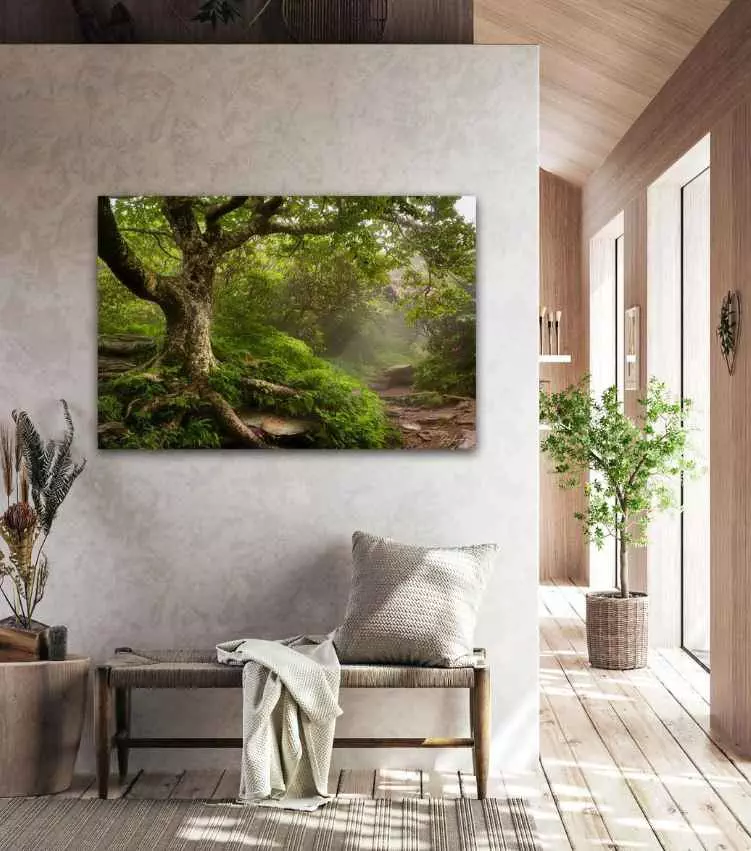 Stunning fine art photography displayed above a cozy welcoming bench.